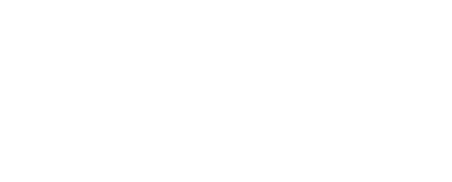 Decorative Underline